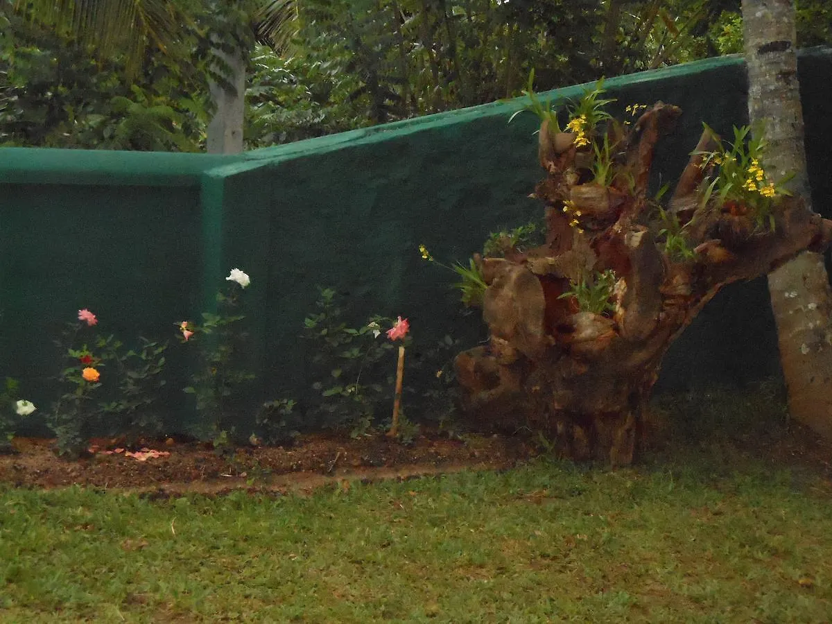 Lavender Hills Home Stay Kandy